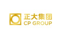 正大集团