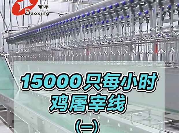全自动家禽屠宰线，时宰 15000 羽，尺度化流程、高效干净、安全可控，一站式解决规；涝仔枰